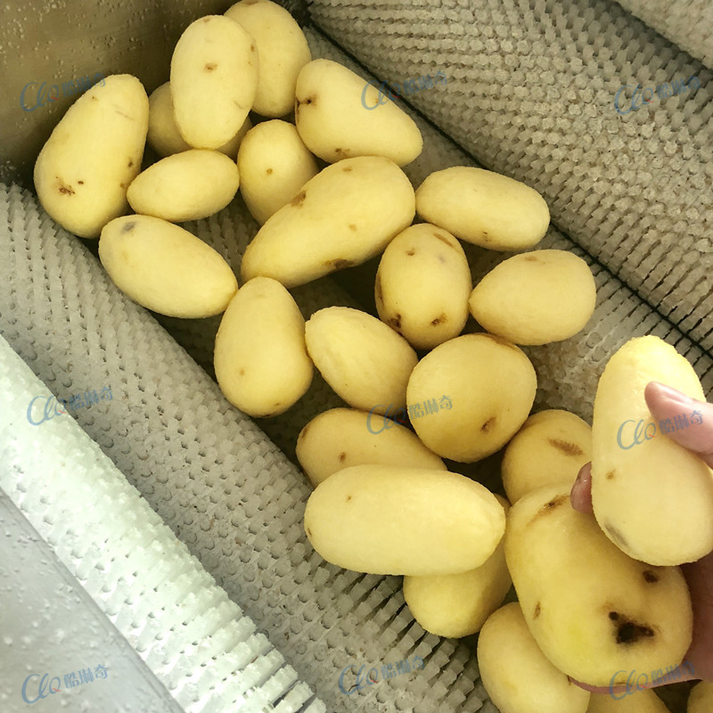 广东毛棍清洗机工厂 型毛辊花生清洗机中草药毛刷番薯洗泥机