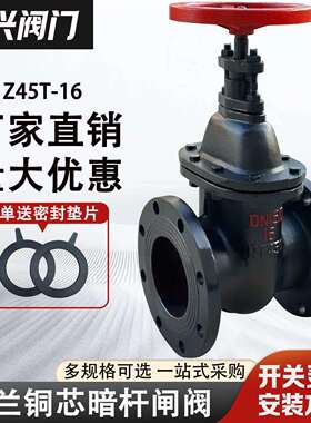 Z45T-16暗杆法兰闸阀 手动铸铁闸板阀DN40 50 65 80 100 150 200