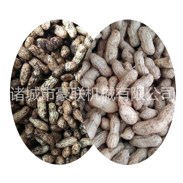 果蔬清洗机 成套设备 带泥花生清洗机 质量好的毛辊清洗机