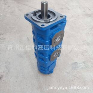 钻机齿轮泵CBGJ3125 203223吨水平定向钻三联泵供应 2080