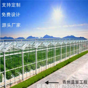 钢管骨架设计建造大型会议中心昌越温室 连栋玻璃温室大棚智能安装
