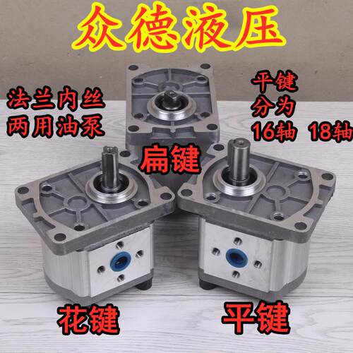 河北众德液压齿轮泵CBT-F304,310,314,316,320,325