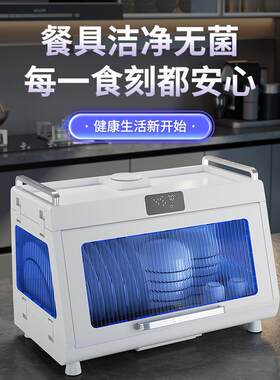 佳宥碗碟收纳架家用厨房消毒双层碗柜带盖沥水收纳箱置物架碗筷具