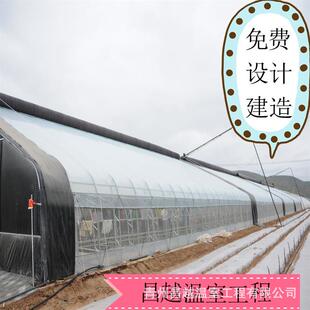 山东设计建造简单实用智能日光温室大棚菊花花卉种植施工快捷