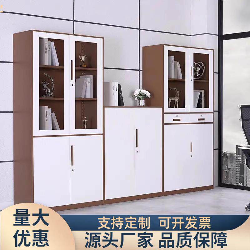 拆装加厚文件柜办公室铁皮资料柜财务凭证档案套色存放柜储物柜子