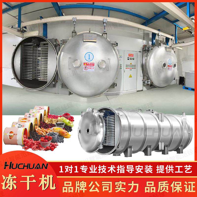 加工定制商用冻干机脱水蔬菜FD冻干设备水果材冷冻干燥机