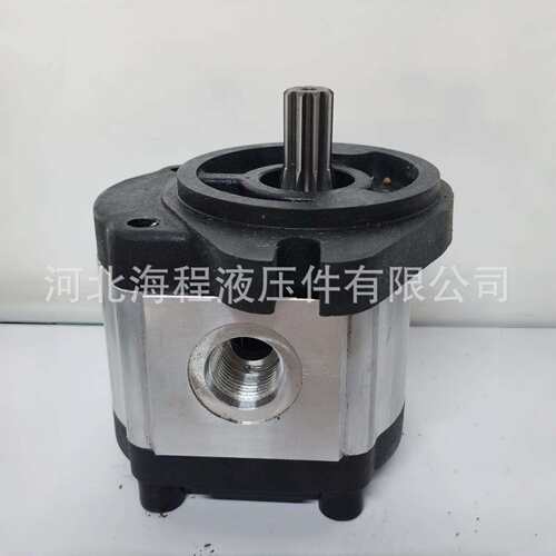 96193GT 96193 9510090001精灵液压泵GR-08 GR-12 GR-15 GR-20