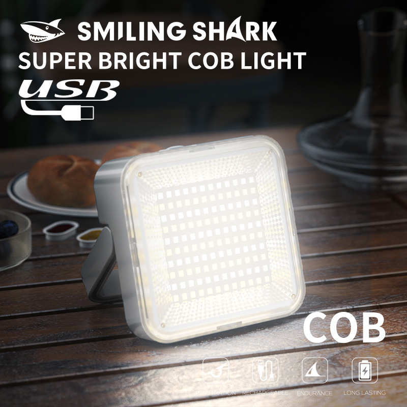 Outdoor solar camping light magnetic output charging