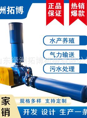 风量大风机 污水处理 厂家直销 LZSR65 粉体输送 三叶罗茨鼓风机