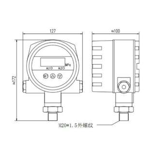 40MPA 数显压力开关 2DMT库号：M410618 PXE 型号