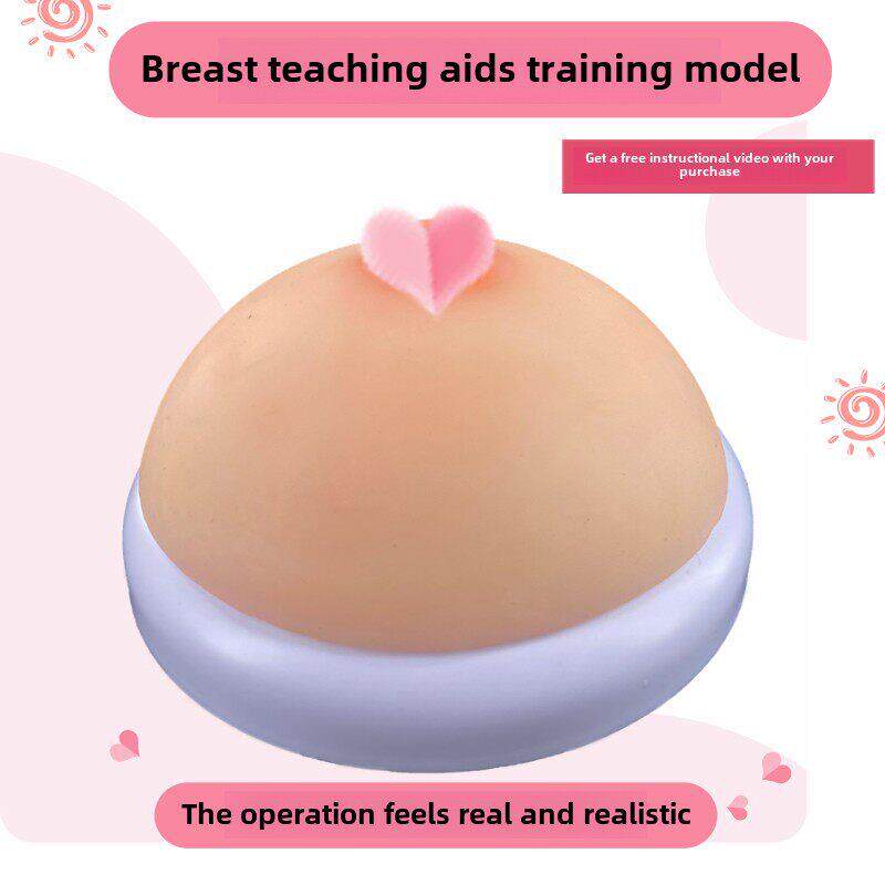 家政月嫂人体仿真女性乳房催乳师培训道具哺乳硅胶乳房教具模型