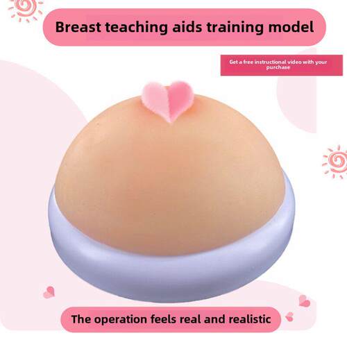 家政月嫂人体仿真女性乳房催乳师培训道具哺乳硅胶乳房教具模型