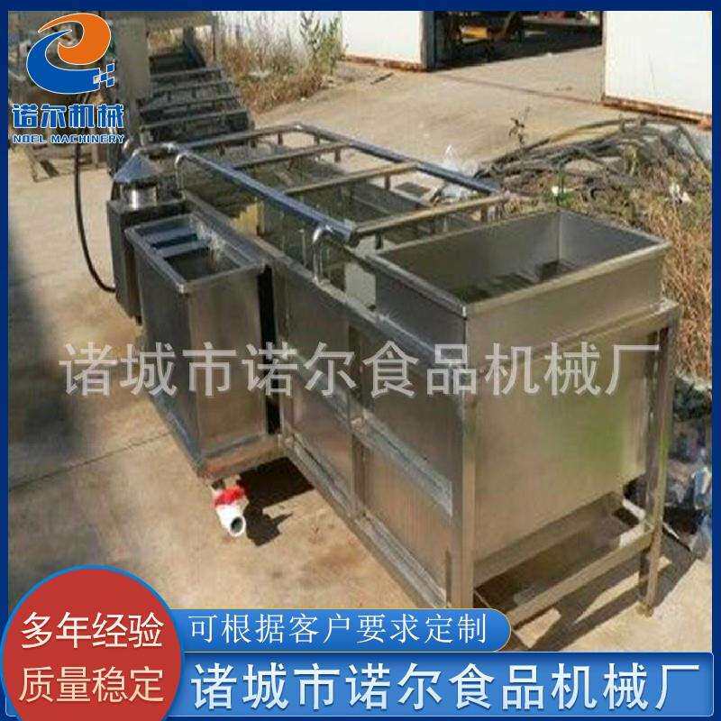 淋喷式净菜清洗线 全自动果蔬气泡清洗机 毛豆圆白菜清洗机