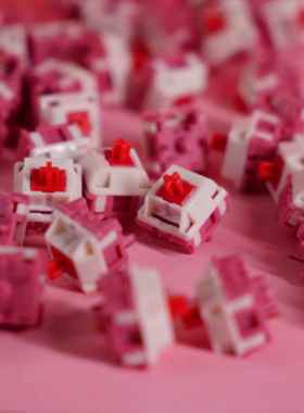 strelizi Reginae轴| Hmx |脆| 40克触发|五线滚动| DIY键盘机械