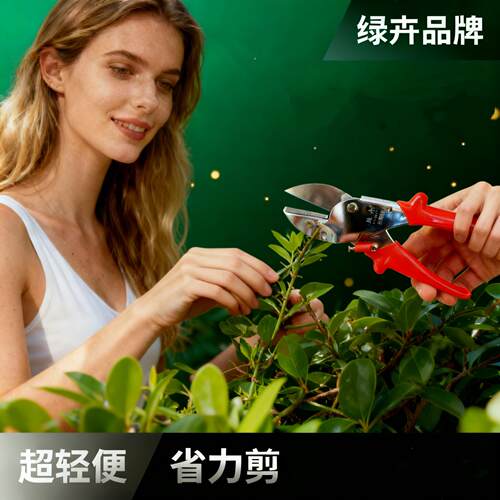 新款绿卉剪刀树枝剪果树修枝剪园艺修树枝剪刀园林剪花剪修枝工具