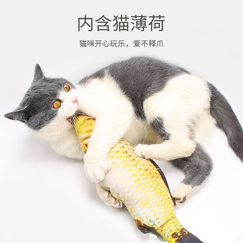 猫玩具自嗨解闷猫薄荷仿真鱼幼猫磨牙耐咬逗猫玩具鱼猫咪用品