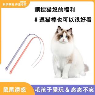 Long Teaser Wand for Cats, Kitten Pet Toy with Realistic Mou