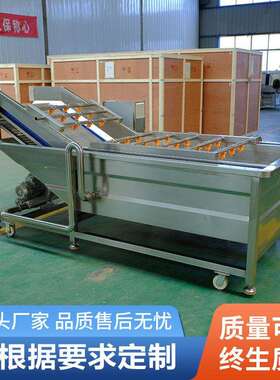 全自动气 泡清洗机 喷淋式蔬菜TPJ清洗加设备水净菜果工流水线设