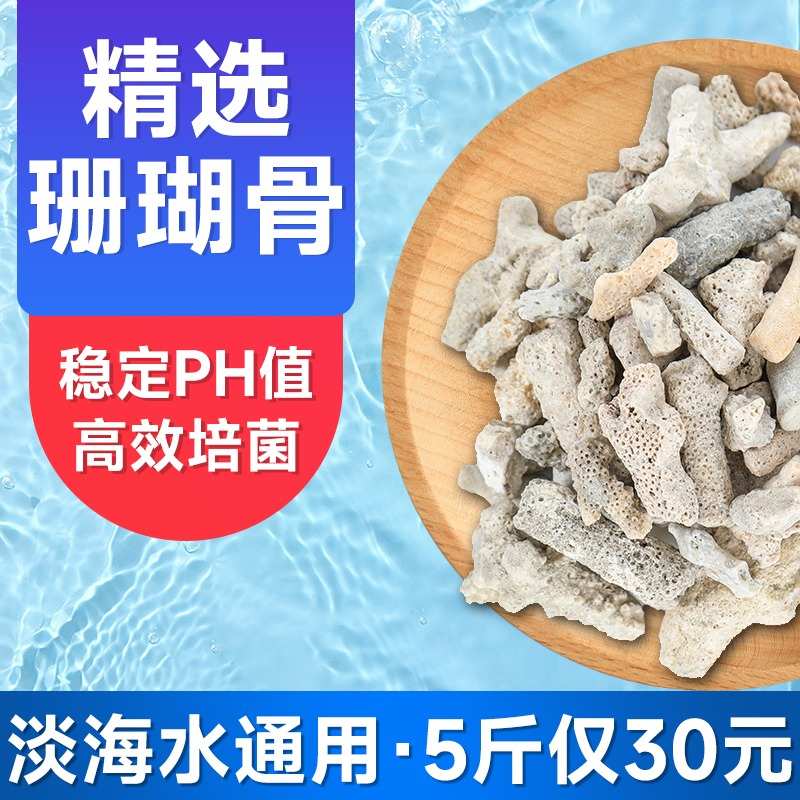 珊瑚石滤材鱼缸底滤净水吸附珊瑚沙培菌鱼池水族珊瑚骨过滤材料