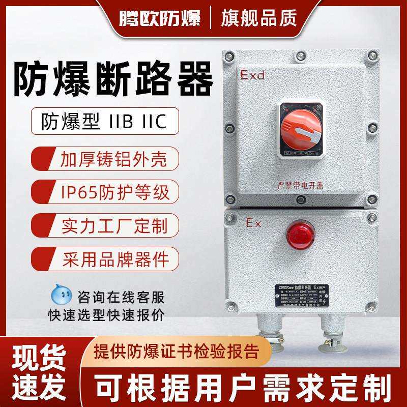 BDZ52防爆断路器10A16A20A32A63A100A漏电2P3P4P防爆开关箱220V