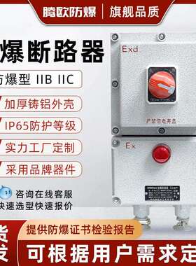 BDZ52防爆断路器10A16A20A32A63A100A漏电2P3P4P防爆开关箱220V