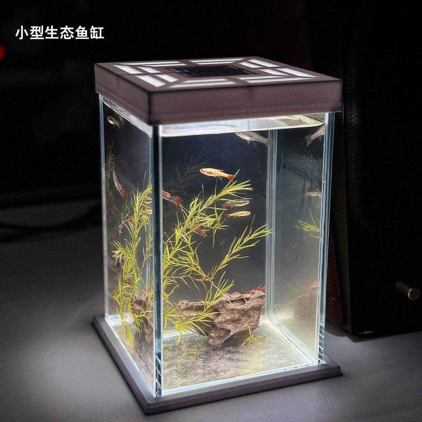 创意懒人办公桌面鱼缸家用客厅小型生态造景专用超白玻璃水族箱