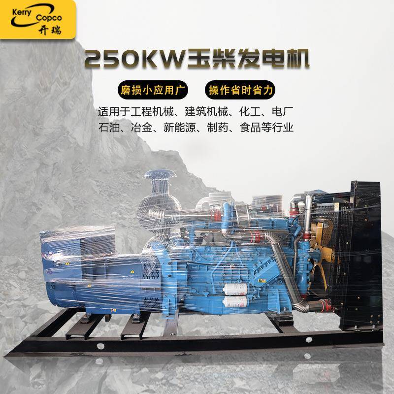 潍电250KW发电机组供应250千瓦柴油发电设备自动化系统发电机组