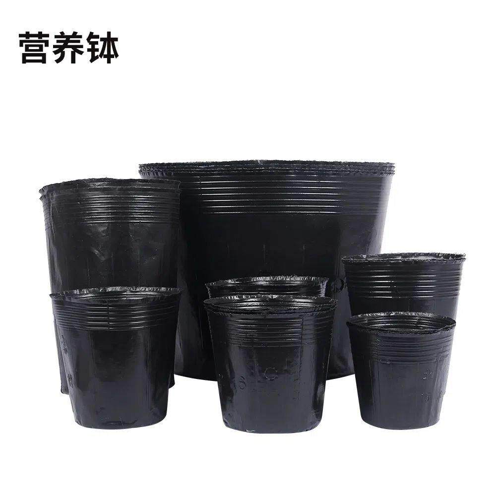 营养杯育苗杯营养袋育苗袋黑色营养钵育苗盆一次性软塑料花盆