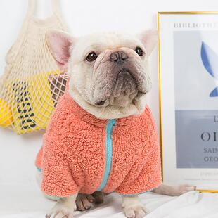 巴哥法斗加绒加厚拉链衣服宠物胖狗斗牛衣服狗狗冬装加绒保暖衣服