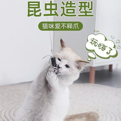 昆虫逗猫棒猫玩具自嗨解闷神器耐咬替换头宠物小猫咪用品大全