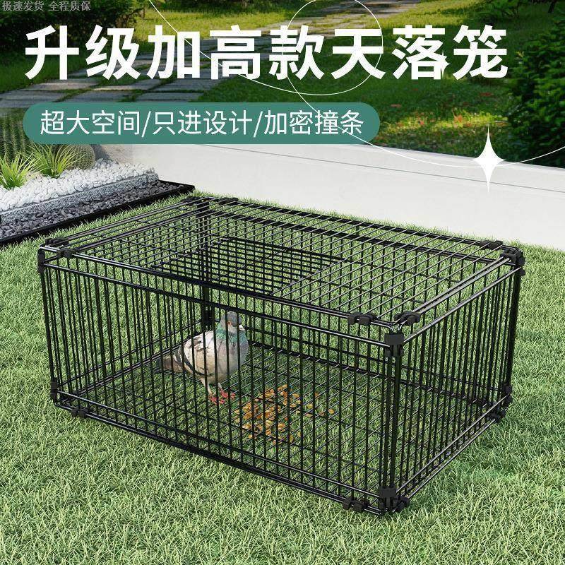 天落笼加密只进不出鸽子笼撞门笼活络门自动回收鸽子神器室外鸡笼