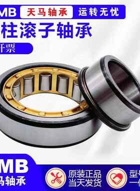 天马TMB轴承 N NU NJ RN NUP NF 210 211 212 213 EM C3 4 P5 6