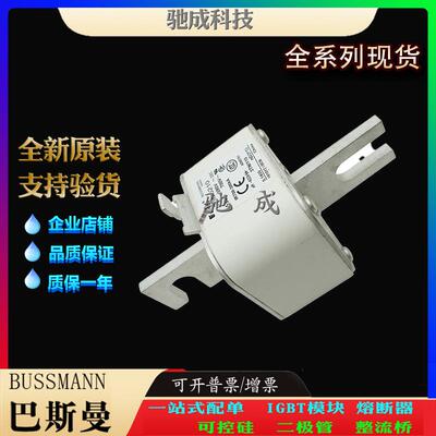 巴斯曼170M6201 170M6202 170M6203 销售供应厂价销售 低压保险丝