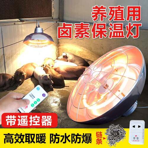 养殖场用大号卤素保温灯猪仔雏鸡灯罩小猪暖灯取暖灯保温灯加热灯