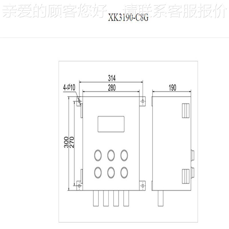 防爆仪表XK319-爆Ex-C8G 隔爆型称XK3190-E重显R示器S485输0出防