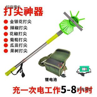 12V电动果树打尖机枣树辣椒香瓜葡萄打头机豆角荔枝金银花麦太保