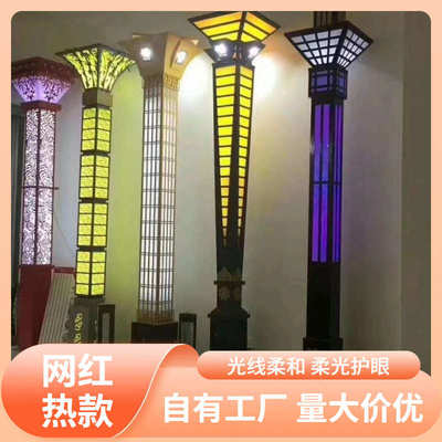 s%户外景观灯市政公园广场小区道路灯6米9米新农村亮化路灯非标花