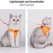 狗安全带皮带设置为小型中型狗可调反射