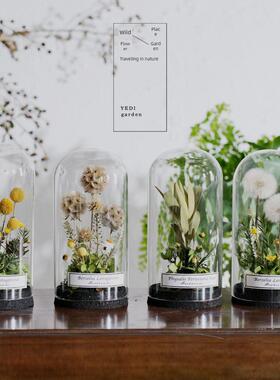 植物永恒的礼物花园斯堪的纳维亚干花家玻璃盖标本展示珠宝研究装