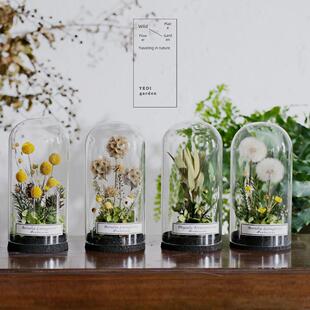 纳维亚干花家玻璃盖标本展示珠宝研究装 植物永恒 礼物花园斯堪