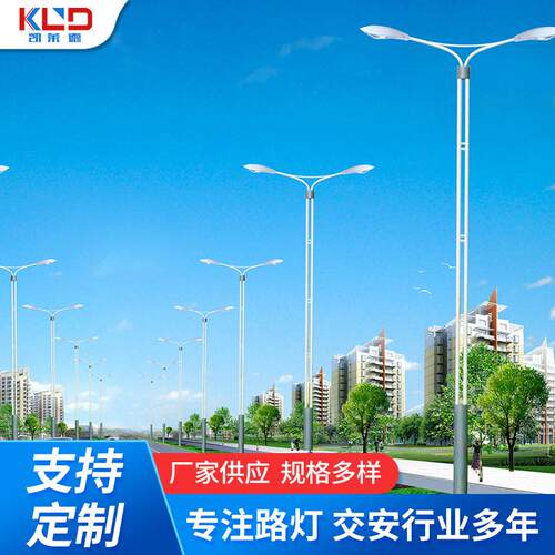 厂商等高双臂市电路灯道路照明灯双头路灯6米7米60W中杆路灯