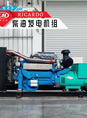 Ricardo里卡多300KW静音柴油发电机组无刷养殖花场酒店楼盘应急