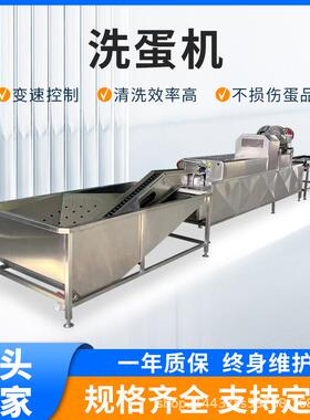 超市保洁蛋清洗光检机器养殖场禽蛋类洗蛋机泥蛋去泥喷淋清洗机