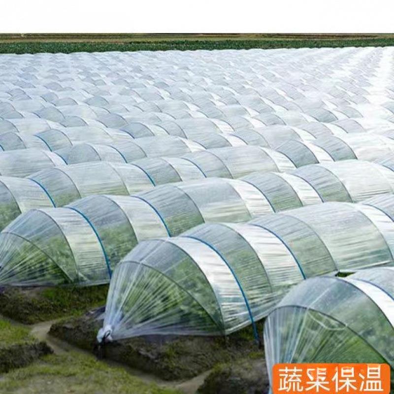 小拱棚大棚二膜透明塑料薄膜塑料布地膜农用育苗防寒保温种