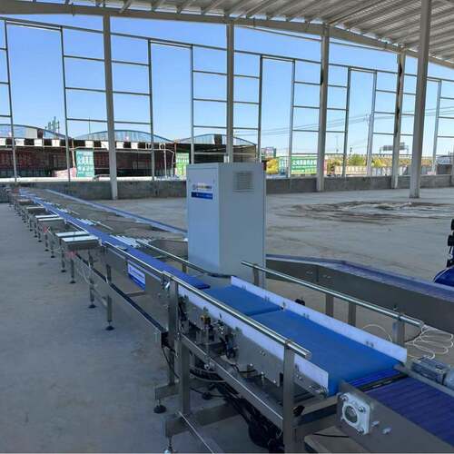 哈密瓜分选机不锈钢西瓜柚子分选设备厂家支持定制瓜分级机