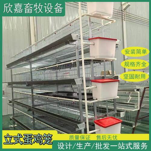 鸡笼蛋鸡笼H型立式三层四层四门五门手摇清粪电动清粪