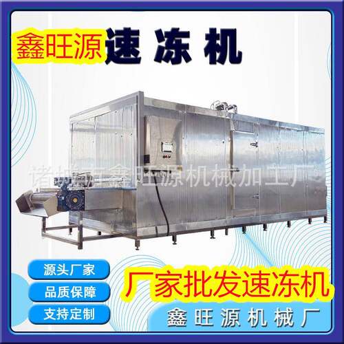 莴笋片侧吹风式速冻机商用大型隧道式冰块速冻机果蔬速冻设备厂家