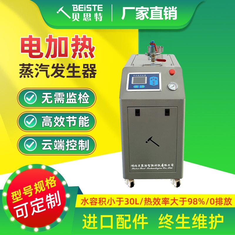 蒸汽发生器贝思特厂家免报检效节能商用工业用食品加工洗涤整烫