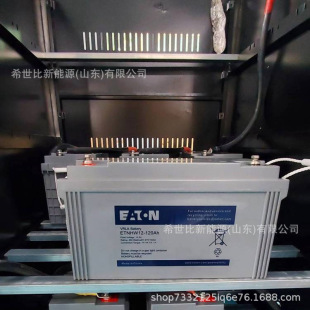 100免维护12100太阳能光伏发电储能 蓄电池12