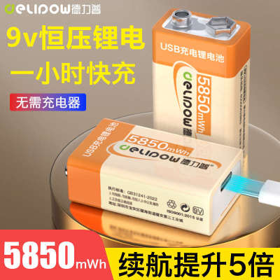 德力普9v充电电池USB锂电大容量万用表吉他话筒可充6f22方形九伏